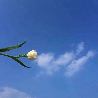 勇者召唤手机版(暂未上线)v1.0.0 安卓版