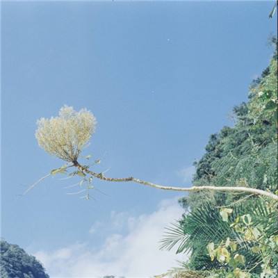 糖果物理学手游下载