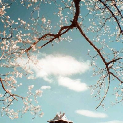 黑暗秩序手游官方版下载