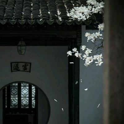 archero无限钻石版下载
